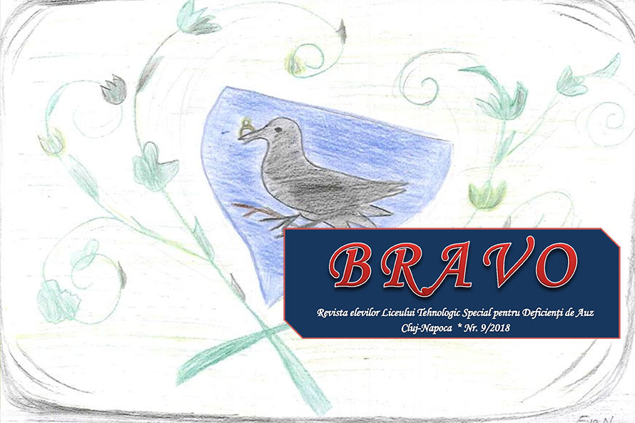 Revista Bravo nr.9 - Drumul corbului